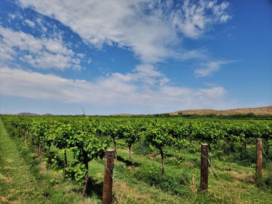 Commercial Property for Sale in Upington Rural Northern Cape